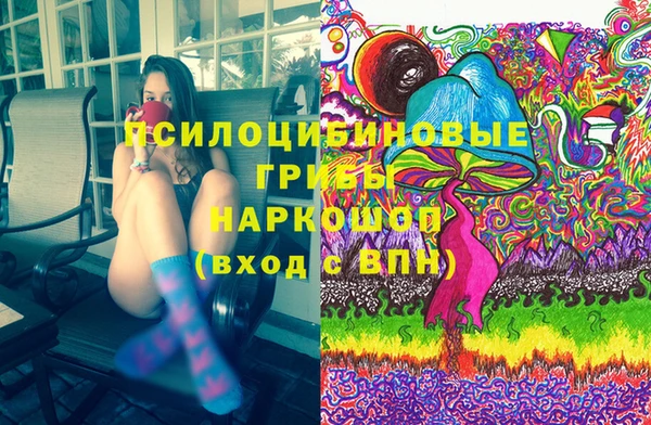 тгк Алексин