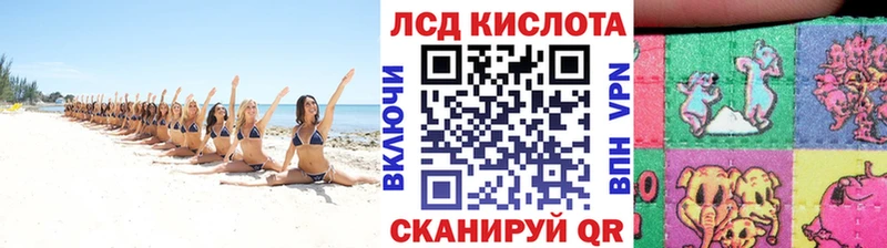 Наркотические марки 1,8мг  shop состав  Грайворон  как найти закладки 